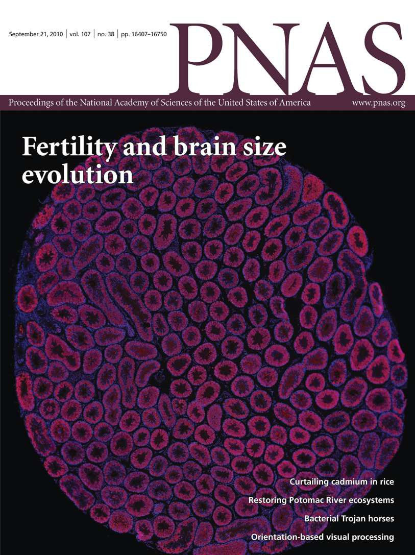 High income improves evaluation of life but not emotional well-being | PNAS