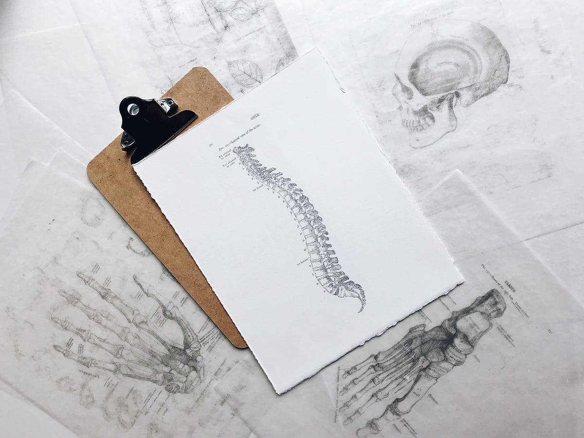 From human dissection to product marketing | by Aqua Delaney | Humans of Xe