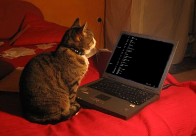 Kernighan's lever