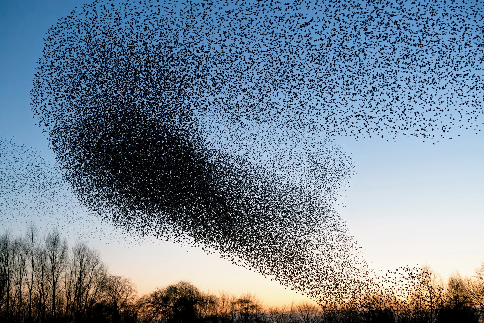 Software Design Patterns: Behavioural